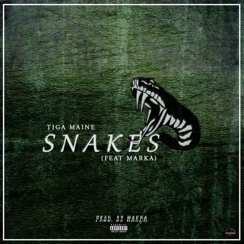 Tiga Maine - Snakes Featuring Marka album artwork