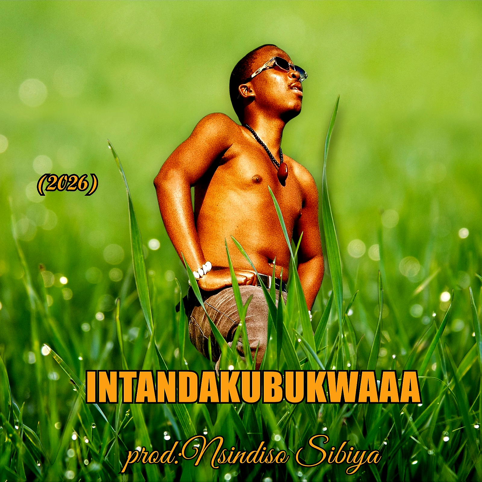 Nongomaicon - INTANDAKUBUKWA album artwork