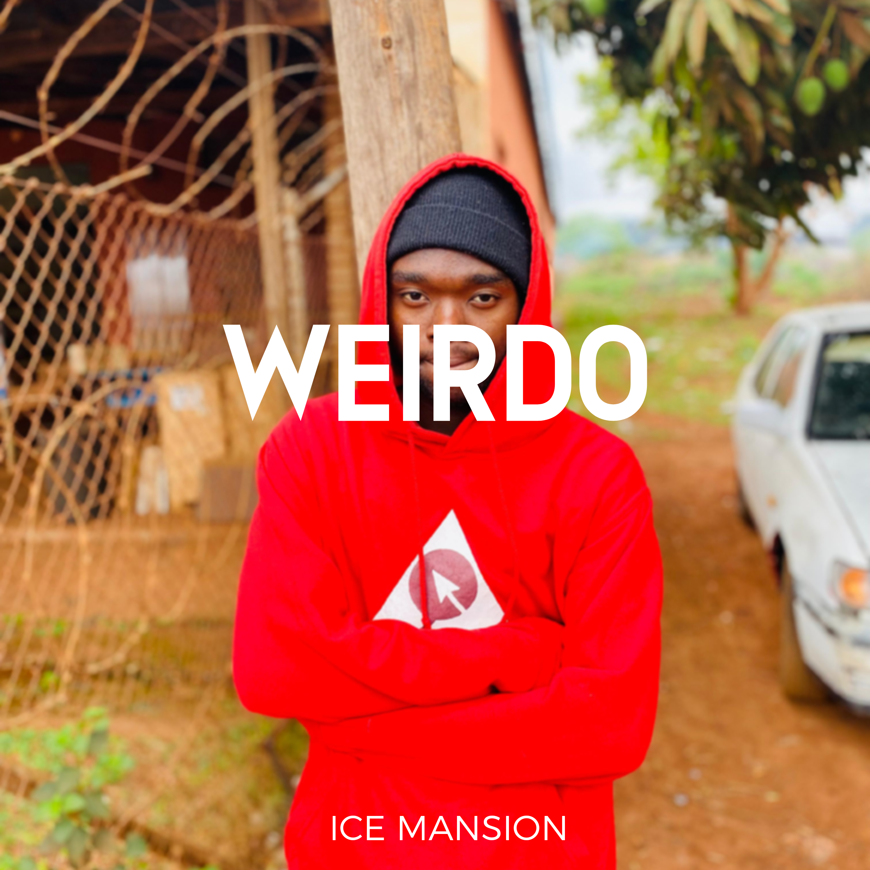 Ice Mansion - Weirdo ( Instrumental ) album artwork