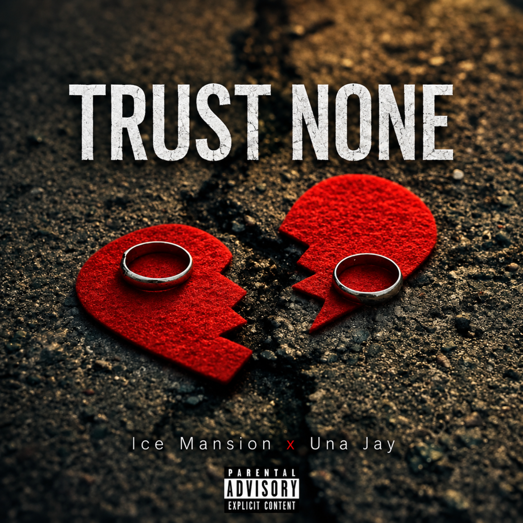 Ice Mansion Features Una Jay on a song called " Trust None "