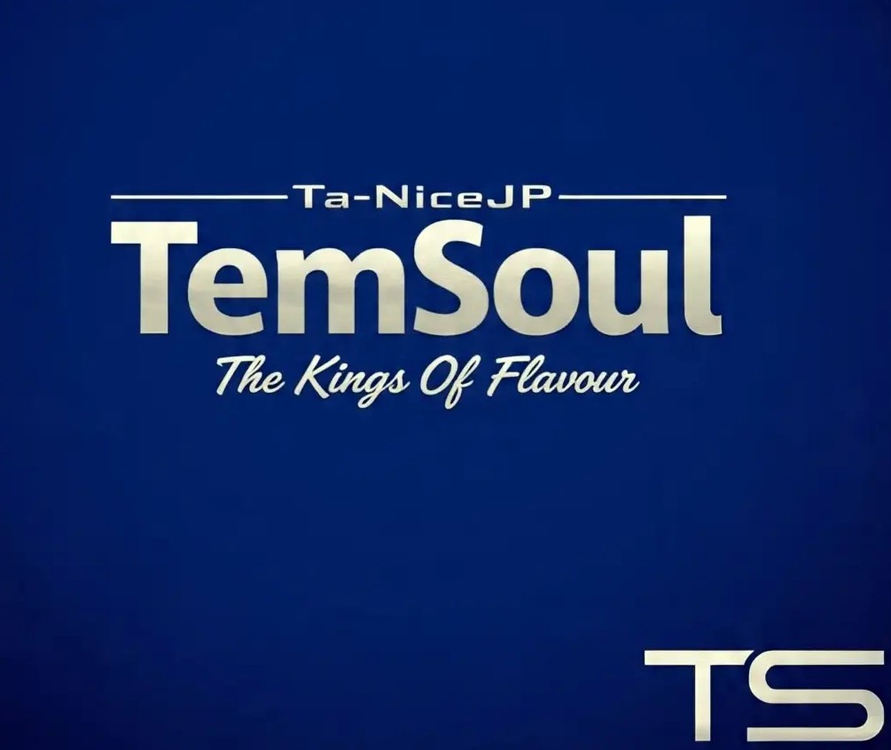 Ta-NiceJP TemSoul